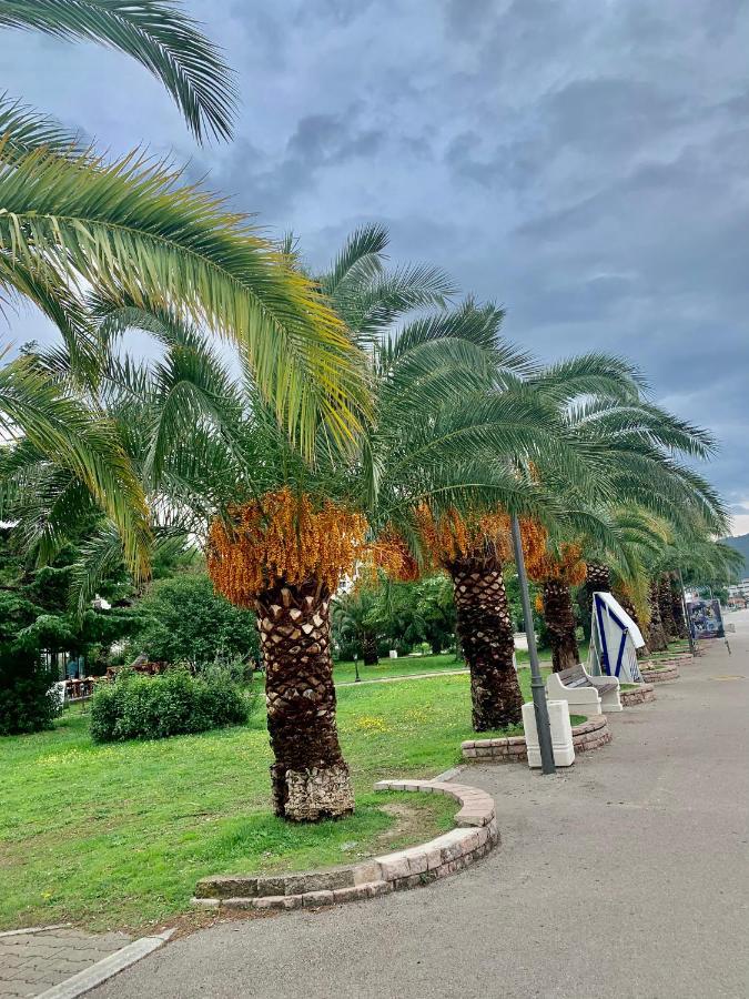 Apartman Ana Zeleni Pojas Bar Buitenkant foto